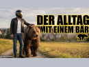 Alltagstest Royal Enfield Bear 650 - taugt der Scrambler dafür? ChainBrothers