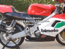 Bella Bestia: 1998 Bimota 500 Vdue Zweitakter