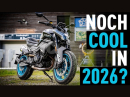 CFMoto 800NK Advanced - Test von Asphalt Süchtig