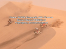 Dakar 2025, Etappe2, 48h Chrono Bisha > Bisha (1058km) Highlights, Zwischenstand