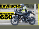 Erlkönig Royal Enfield Himalayan 650 gesichtet / Motorrad Nachrichten