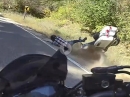 Harley Crash - Kurve ausgegangen, Straßengraben, Koffer verkratzt