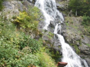 Schwarzwald-Tour: Todtnauer Wasserfall und größte Kuckucksuhr 