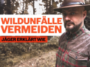 Wildunfälle vermeiden - Ein Jäger erklärt wie