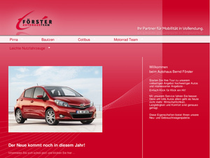 Autohaus Bernd Frster Gmbh Co Kg